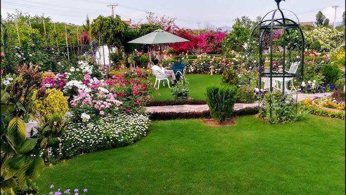Family-Friendly Activities in Islamabad